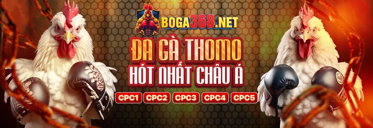 Đá gà trực tuyến 88kim website chính thức